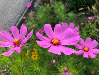 12-13 August Around Montreux