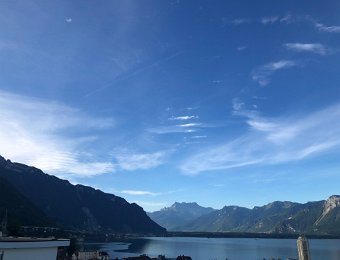 19 August To Hornbach via Vineyards