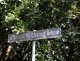 23 August Montreux to Vevey