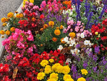 24 August Around Montreux