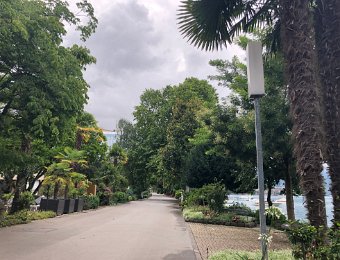 3 August Around Montreux