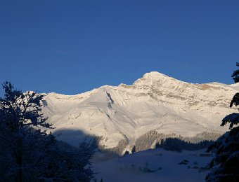 13 December La Puce in the Bubble