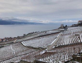 5 December From Chexbres to Montreux