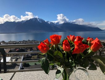 14 February St Valentine's Day