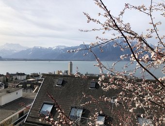 29 February Montreux