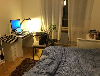 Happenings in Zurich