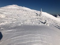 In fact, the wind scoured the ridge pretty well