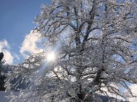 View from the train stop at Crêt d'y Bau