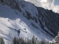 Find the skier out there!