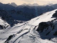 Study in white and gray