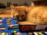 24-25 January - Zürich