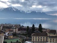 Glassy Lac Léman