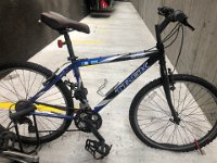 A bike that Rich might use in June