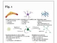 Figure from Vivi's second paper!