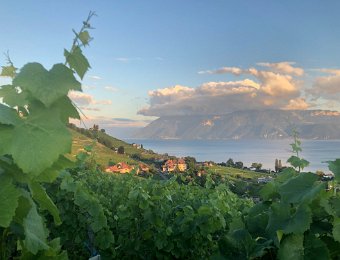 11 July Chernex to Lutry for Dinner