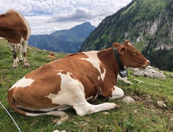 26 July Col de Jaman