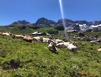 8 July Derborence to Gryon