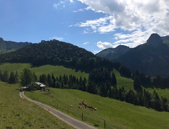 13 June Hidden Valley