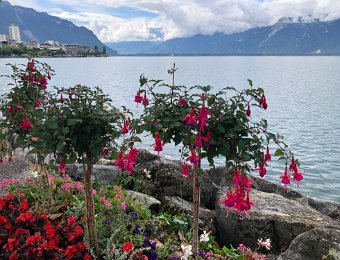 18 June Montreux