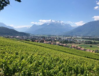 23 June Roche to Aigle