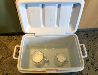 8 -10 June Yogurt, Brent, TBE Vaccine