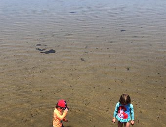 Happenings in Nashville