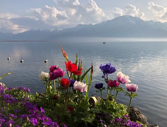 21-22 March Montreux