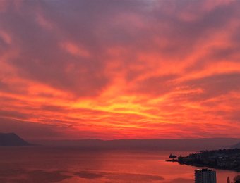 26 March Montreux Flowers and Sunset