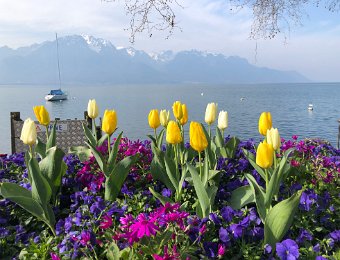 27 March Montreux and Tavel - August's birth day!