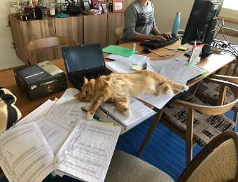 Happenings in Zurich