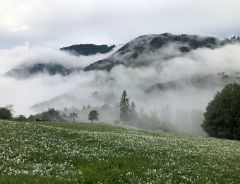 13 May Bri and Nico go to Nermont