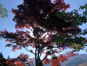 25 May Above Chaulin Bagels