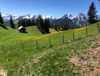 7 May Pays d'enhaut and Mtrx