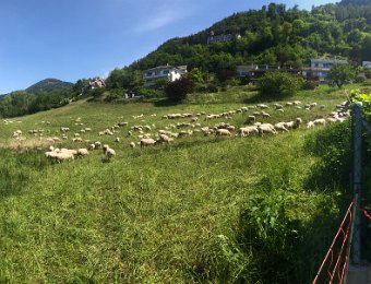8 May Chaulin and French Friday