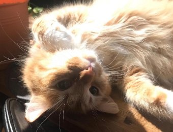 Happenings in Zurich