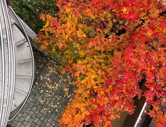 1 November Around Montreux