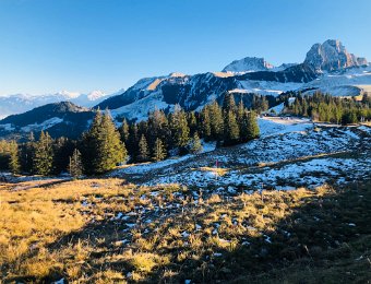 26 November Montreux to Zurich via Gantrisch