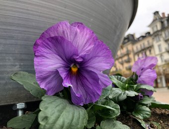 30 November Around Montreux