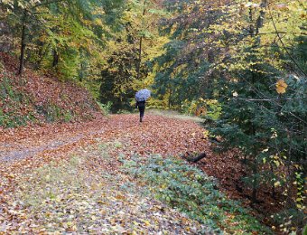 4 November Foliage to Villeneuve