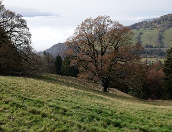 7 November Chamby, Vallon de Villard, Orgevaux, Les Avants