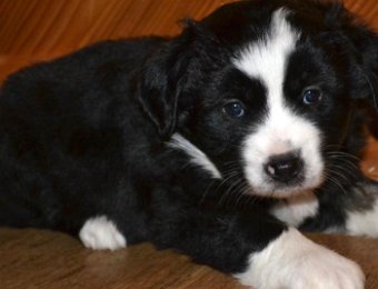 Happenings in Nashville