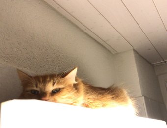 Happenings in Zurich