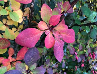 22-24 October Around Montreux