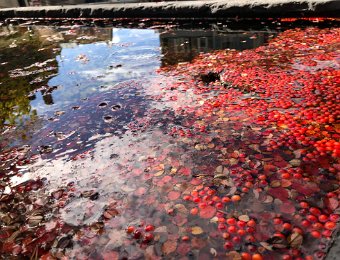 27-29 October Around Montreux