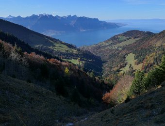30 October Hidden Valley (Paccot to Les Avants)