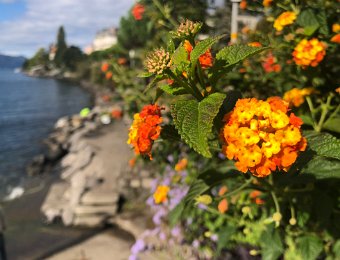 4-5 October Around Montreux