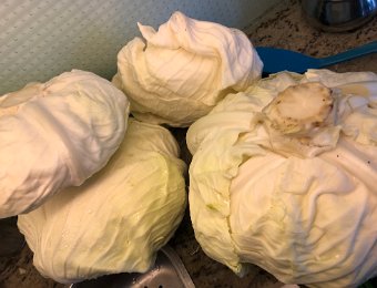 21 September Round Montreux, Sauerkraut