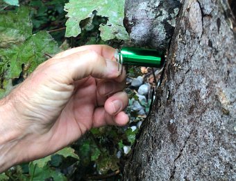 28 September Geocaching on Pleiades