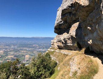 4 September Satigny Vineyards, Le Saleve