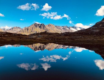 Happenings in Zurich